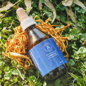 Triple extracto de Cordyceps 60ml