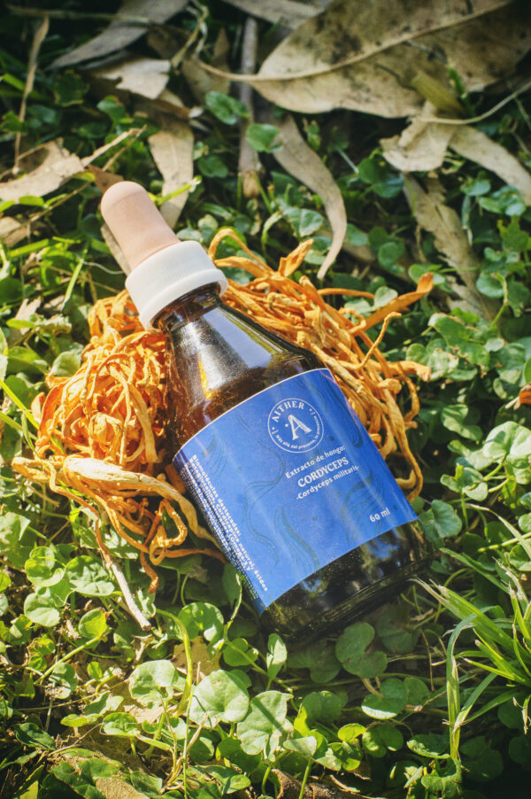 Triple extracto de Cordyceps 60ml
