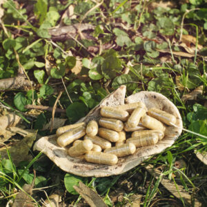 Cápsulas de Reishi