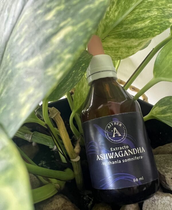 Doble extracto de Ashwagandha