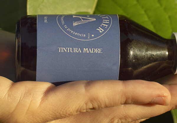 Tintura madre | Plantas - Imagen 2