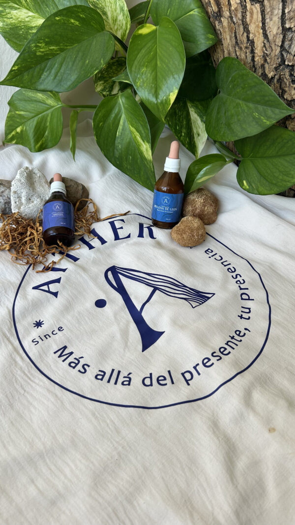 Kit energético - Imagen 2