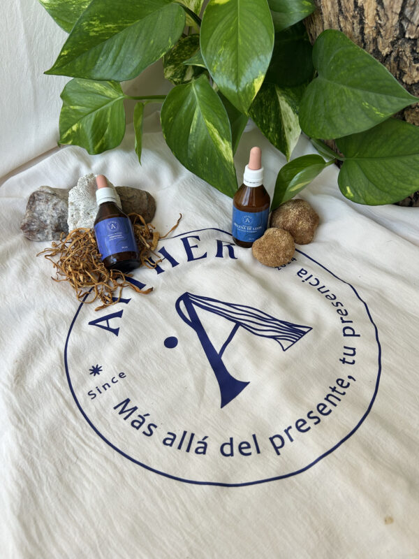 Kit energético